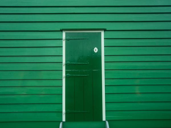 Farby v interiéri: 50 odtieňov zelenej 
